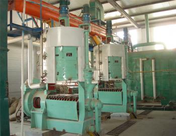 核桃油加工設備